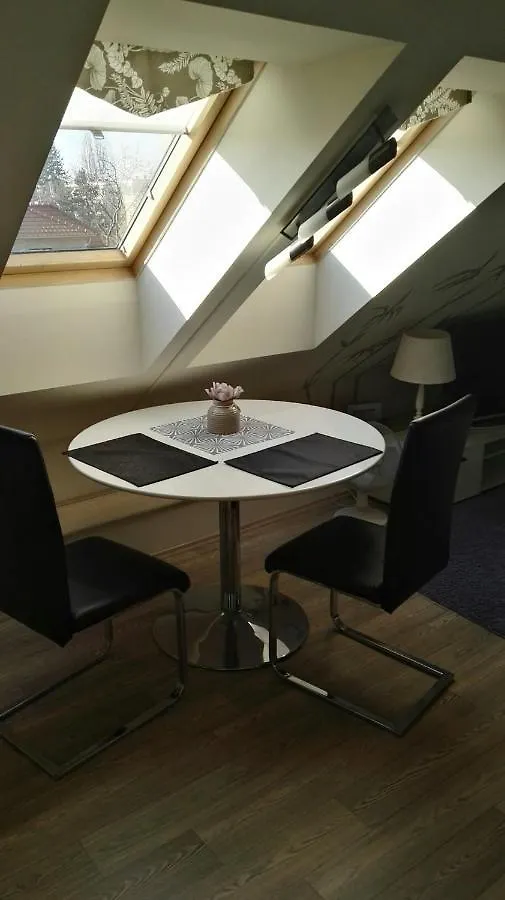בית הארחה פראג Pension Villa Marit